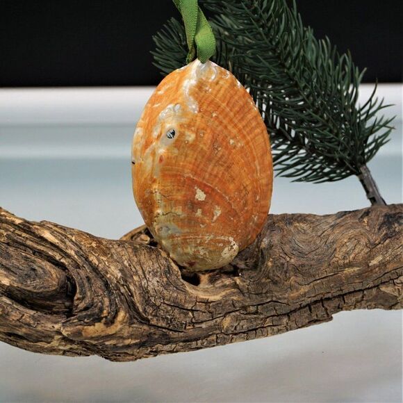 Vintage Christmas Shell Ornament Reindeer Diorama In Oyster Shell - Picture 2 of 7